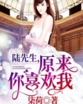 陆先生，原来你喜欢我