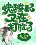 快穿女配又在打脸了