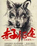 赤子传奇剧情介绍