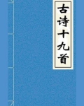 古诗十九首最早著录于哪里