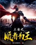 三国之顺者为王 小说