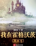 我在霍格沃茨那些年女主