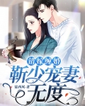 总裁小说靳少宠妻无度