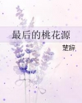 最后的桃花源小说讷敏斋主