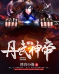 小说丹武神帝