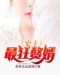 史上最狂赘婿叶冷秦素素