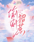 偷偷招惹小说