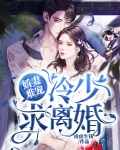 冷少,娇宠上瘾