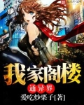 我家阁楼通异界