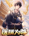 医婿全目录