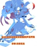 精灵传奇训练家小说