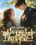 捡到傻瓜总裁