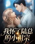 我怀了陆总的小祖宗小说