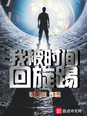 类似我被时间回旋踢的小说