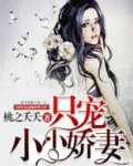 只宠小小娇妻