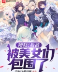 糟糕!我被美女们包围了小说全文