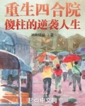 重生四合院：傻柱的逆袭人生