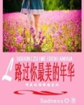 路过你最美的年华