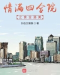 情满四合院食全酒美 小说