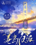 港岛之夜歌词