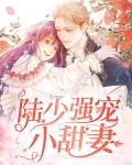 陆少强势宠妻