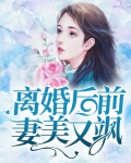 离婚后前妻美又飒免费阅读苏桃陆寒川