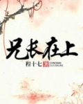 兄长在上全文免费阅读小说无重复