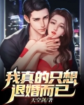 我真的只想退婚而已