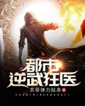 都市逆武狂医 苏菲弹力贴身