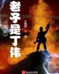 亮剑：老子是丁伟