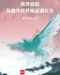 两界鲲鹏：从南华经开始证道长生
