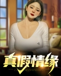 真假情缘