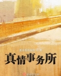 真情事务所