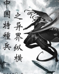 中国特种兵之异界纵横境界解析