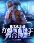 身为网管打爆职业选手很合理吧txt