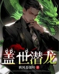 盖世潜龙第二季