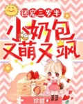 团宠三岁半:小奶包又萌又飒免费阅读