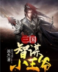 三国之智谋小王爷