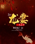 龙妻一人之下免费阅读