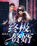 终极赘婿