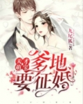 天才萌宝,爹地要征婚短剧大结局