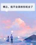 傅总，我不会再给你机会了