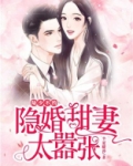 陆少不约,隐婚甜妻太嚣张类似的小说