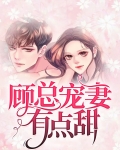 盛世婚宠:军少的小暖妻