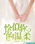 恰似你的温柔歌词完整版