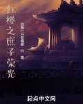 红楼之庶子荣光