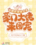 小哑巴被偷人生，豪门大佬来团宠