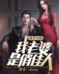 高手下山主角几个老婆