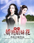 我的美女姐妹花免费阅读全文