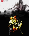顽贼小说